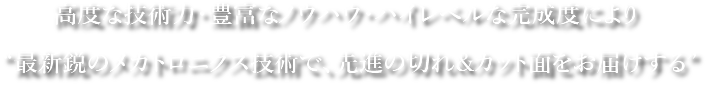 高度な技術力・豊富なノウハウ・ハイレベルな完成度により<br>
				“最新鋭のメカトロニクス技術で、先進の切れ&カット面をお届けする”